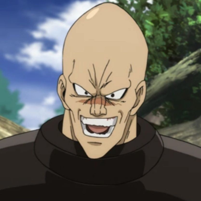 Hammerhead One Punch Man
