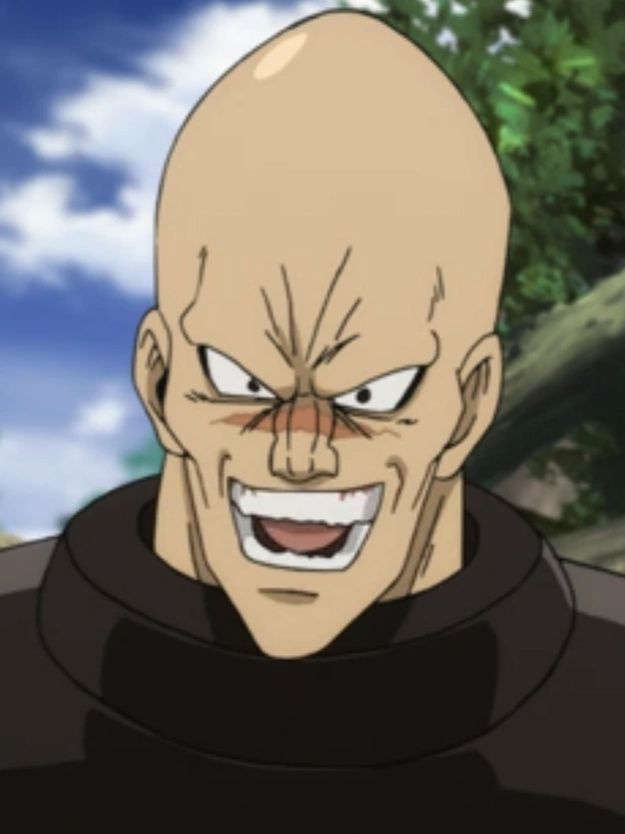 Hammerhead One Punch Man profile