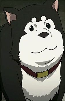 Chat with Black Hayate