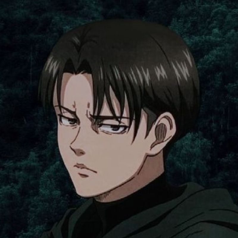 Levi Ackerman icon