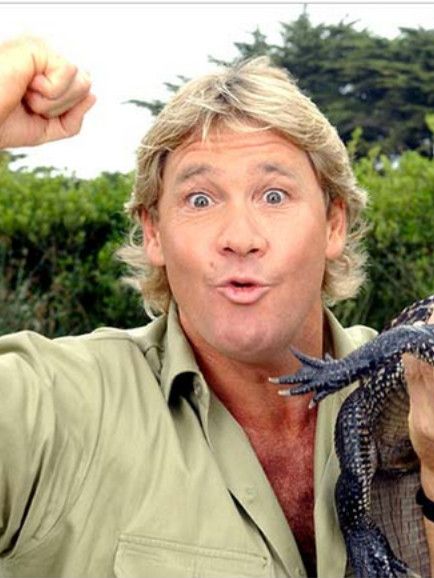 Chat with Steve Irwin