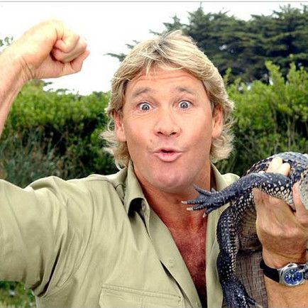 Steve Irwin icon