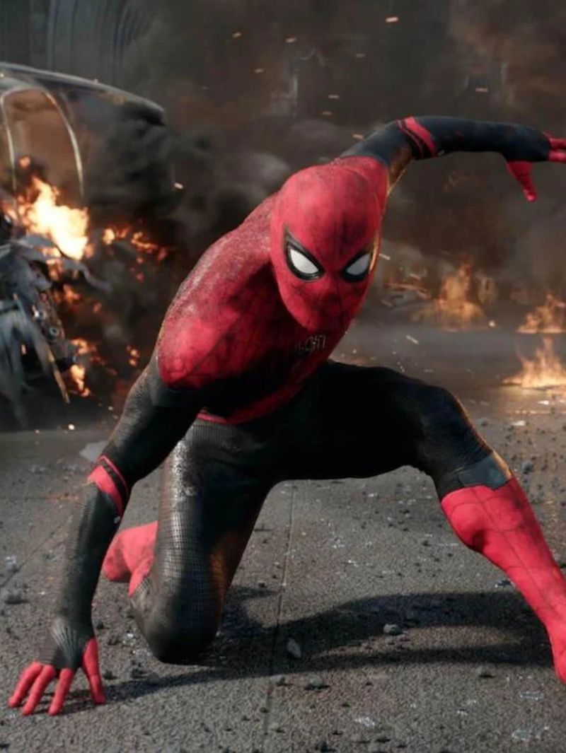 Spider Man profile